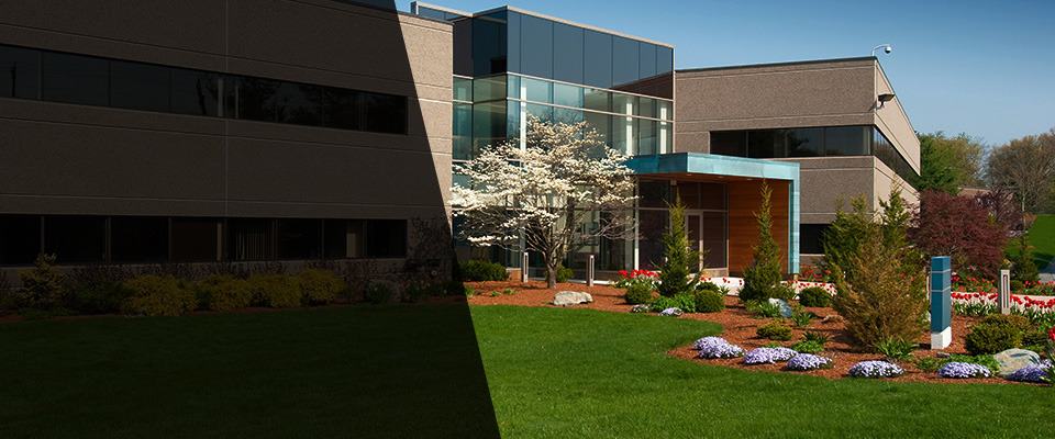 Marco Island Landscapers